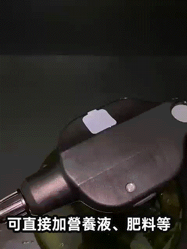 1760670713868472.gif 1760670713868472.gif
