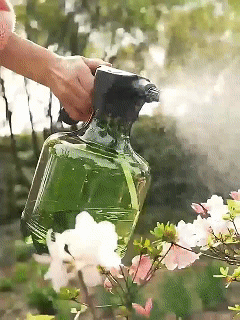 1760670857909968.gif 1760670857909968.gif