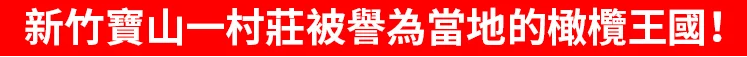 1.1.png