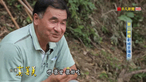 1761616628287319.gif