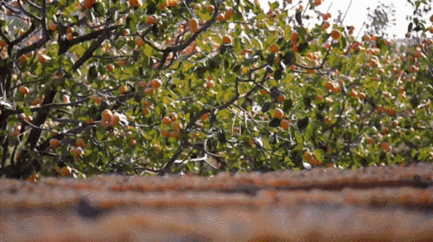 1762584041842597.gif