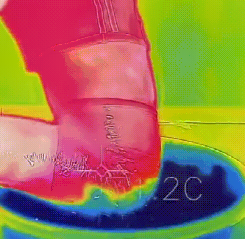 1763432554682057.gif