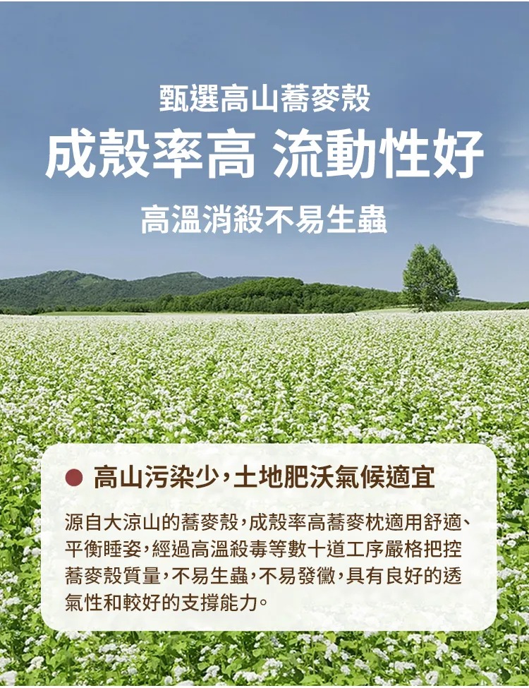 imgi_25_f9812716fb8d499a839733d260e56e28.jpg